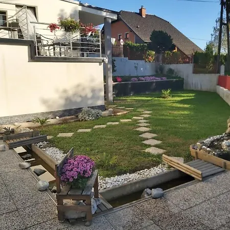 Panda * Maribor