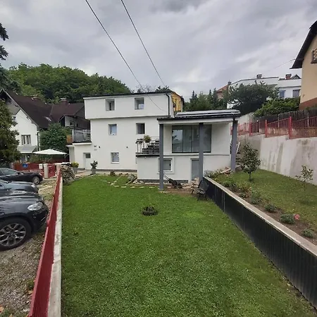 Panda Homestay
