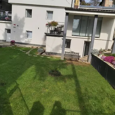 Panda * Maribor